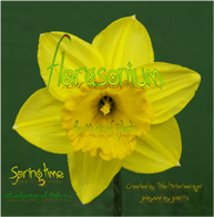 Spring Time - Awakening of Nature ("Pflanzenmusik") 